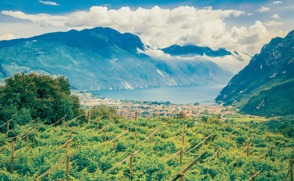 Veduta del lago di Garda in Italia con le sponde coltivate a vitigno